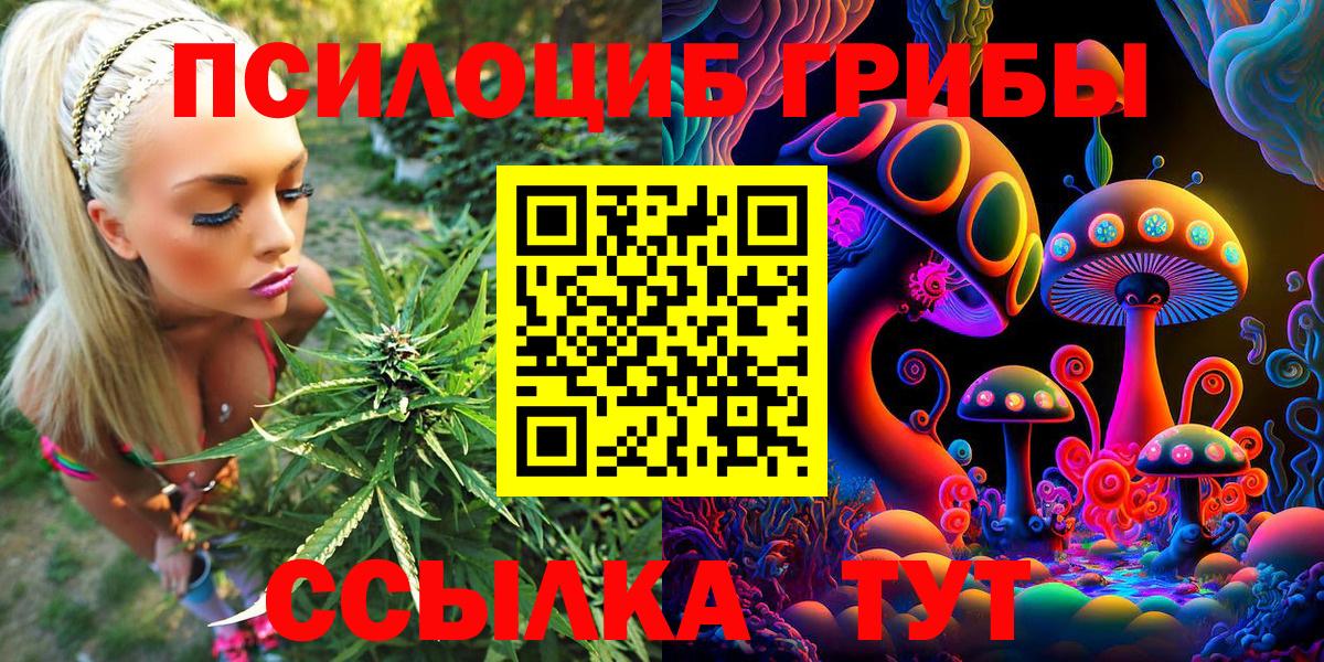 Наро-Фоминск  Галлюциногенные грибы MAGIC MUSHROOMS  Вход с VPN  Галлюциногенные грибы MAGIC MUSHROOMS 